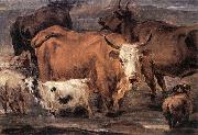 BERCHEM, Nicolaes Animal Study dd oil on canvas